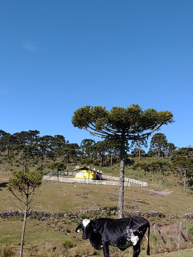 Casa E Cabana De Campo Fazenda Borba Urubici Buitenkant foto