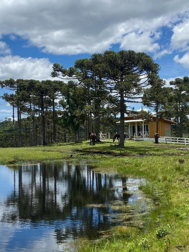 Casa E Cabana De Campo Fazenda Borba Urubici Buitenkant foto