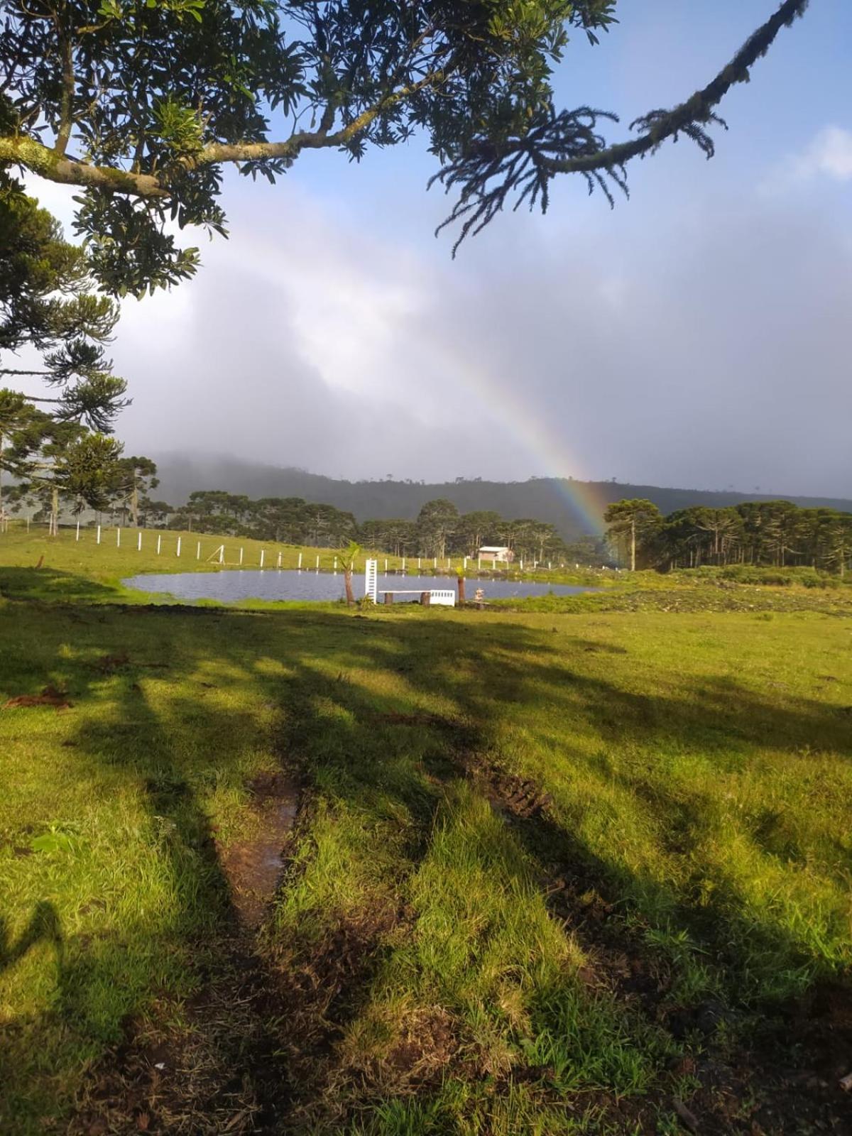 Casa E Cabana De Campo Fazenda Borba Urubici Kamer foto